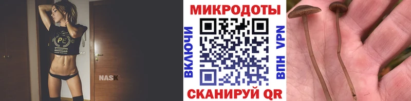 Купить закладки  Черногорск  Псилоцибиновые грибы ЛСД